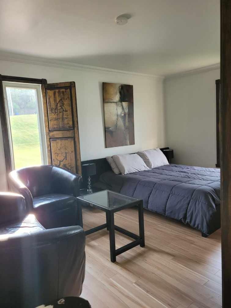 Le Petit Manoir Spa Et Vue Sur Riviere St Maurice Grandes Piles Kültér fotó